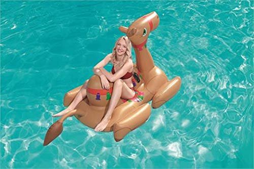 Bestway Camel Pool Float H2OGO!