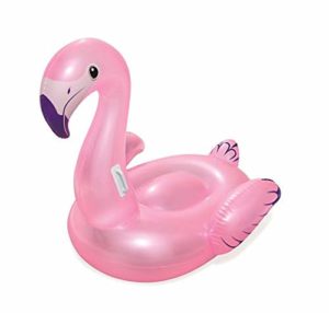 Bestway Flamingo Float Pool Product Image