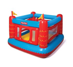 Fisher-Price Bouncetastic Bouncer Product Image