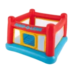 Fisher-Price Bouncetastic Bouncer