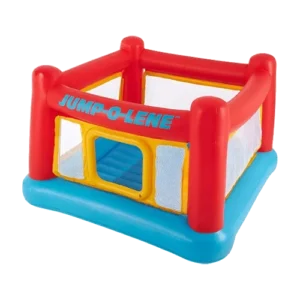 Fisher-Price Bouncetastic Bouncer Product Image